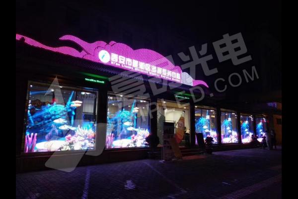櫥窗 | 未來已來，商業(yè)櫥窗標(biāo)配@自由新流媒